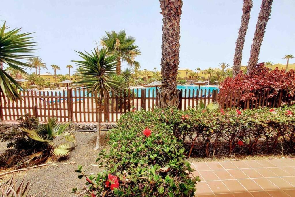 Tamarindo 28, Pool Front,Free Wifi Apartment Corralejo Exterior photo