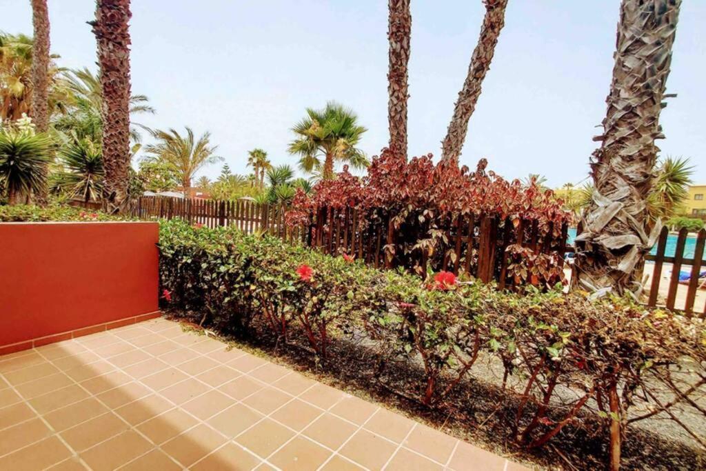 Tamarindo 28, Pool Front,Free Wifi Apartment Corralejo Exterior photo